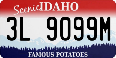 ID license plate 3L9099M