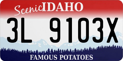 ID license plate 3L9103X