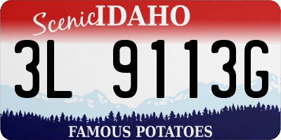 ID license plate 3L9113G
