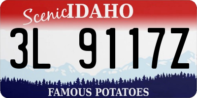 ID license plate 3L9117Z