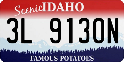 ID license plate 3L9130N