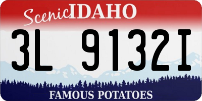 ID license plate 3L9132I