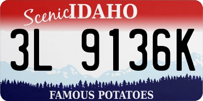 ID license plate 3L9136K