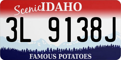 ID license plate 3L9138J