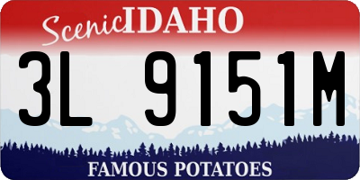 ID license plate 3L9151M
