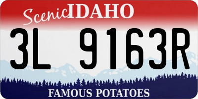 ID license plate 3L9163R