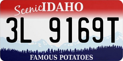 ID license plate 3L9169T
