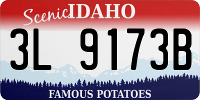 ID license plate 3L9173B