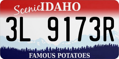 ID license plate 3L9173R