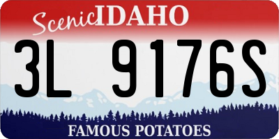 ID license plate 3L9176S