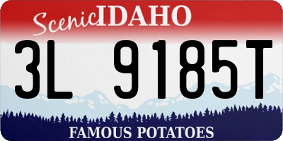 ID license plate 3L9185T