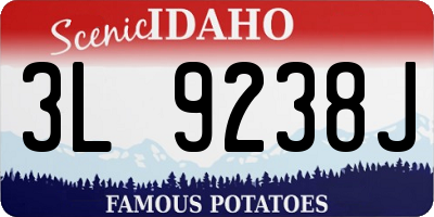 ID license plate 3L9238J