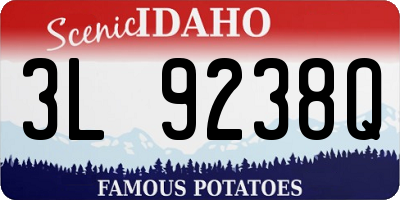 ID license plate 3L9238Q
