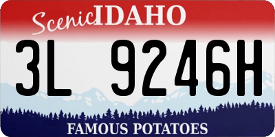 ID license plate 3L9246H