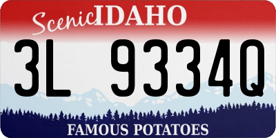 ID license plate 3L9334Q