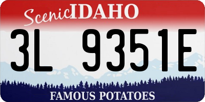 ID license plate 3L9351E