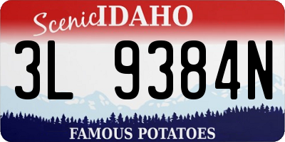 ID license plate 3L9384N
