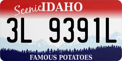 ID license plate 3L9391L