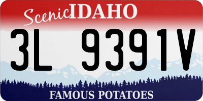 ID license plate 3L9391V