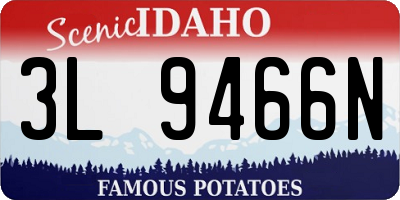 ID license plate 3L9466N