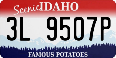 ID license plate 3L9507P