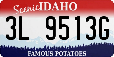 ID license plate 3L9513G