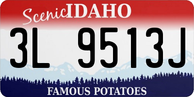 ID license plate 3L9513J