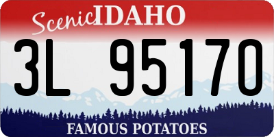 ID license plate 3L9517O