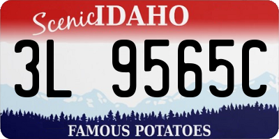 ID license plate 3L9565C