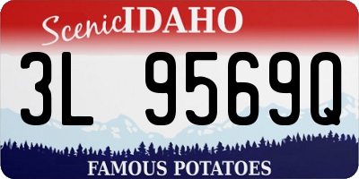 ID license plate 3L9569Q
