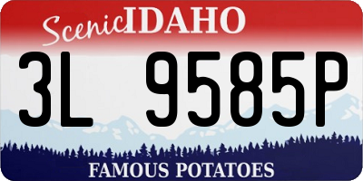 ID license plate 3L9585P