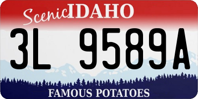 ID license plate 3L9589A