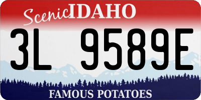 ID license plate 3L9589E