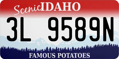 ID license plate 3L9589N
