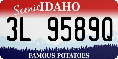 ID license plate 3L9589Q