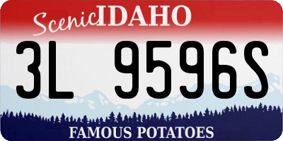 ID license plate 3L9596S