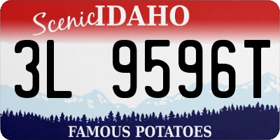 ID license plate 3L9596T