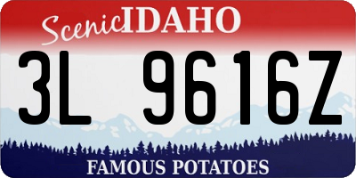 ID license plate 3L9616Z