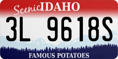 ID license plate 3L9618S