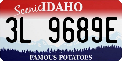 ID license plate 3L9689E