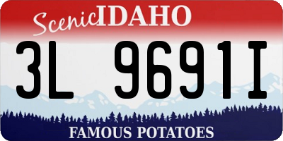 ID license plate 3L9691I