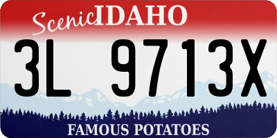 ID license plate 3L9713X