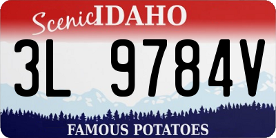 ID license plate 3L9784V
