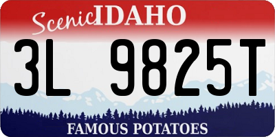 ID license plate 3L9825T