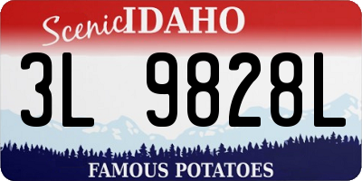 ID license plate 3L9828L