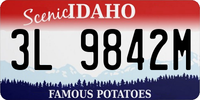 ID license plate 3L9842M