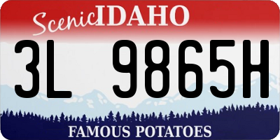 ID license plate 3L9865H