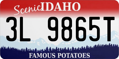 ID license plate 3L9865T