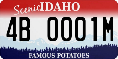 ID license plate 4B0001M