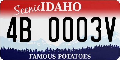 ID license plate 4B0003V